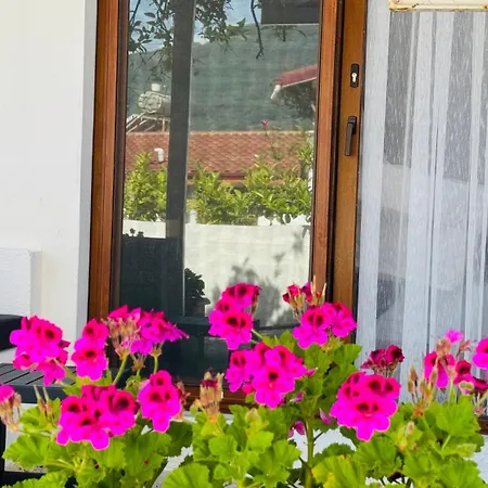 Tomsan & Ξενοδοχείο Akyaka (Mugla)